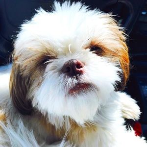 Meet your Posher, Flor